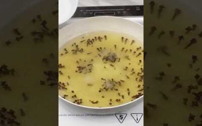 No more flies, ants or cockroaches in house